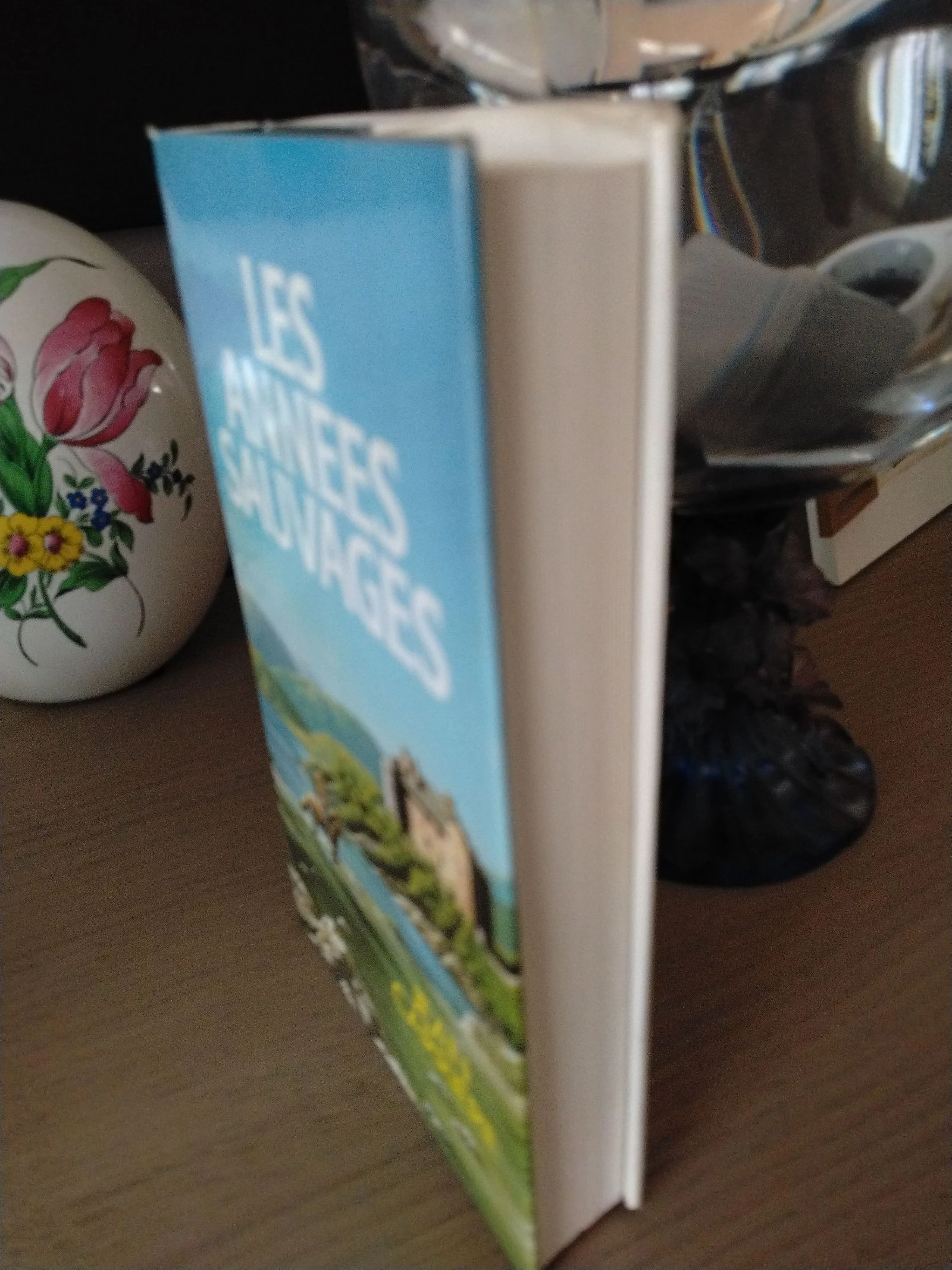 Book by Jean an Carrière The Wild Years – photo 3